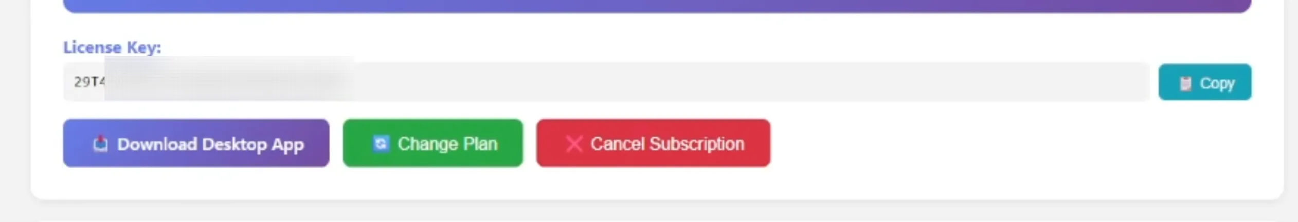License key section in the dashboard